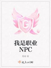 我是职业NPC 我是职业NPC
