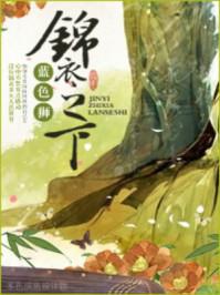 锦衣之下 锦衣之下