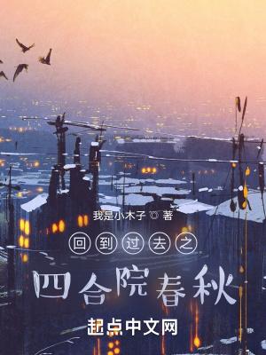 回到过去之四合院春秋 回到过去之四合院春秋