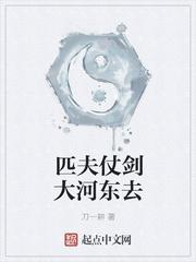 匹夫仗剑大河东去 匹夫仗剑大河东去