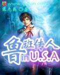 鲁班传人在美国 鲁班传人在美国