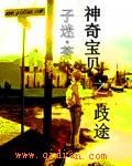 神奇宝贝之歧途 神奇宝贝之歧途