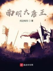 南明大唐王 南明大唐王