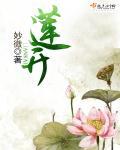 莲开 莲开
