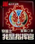 穿越之我是指挥官 穿越之我是指挥官