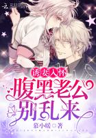 诱妻入怀:腹黑老公,别乱来! 诱妻入怀:腹黑老公,别乱来!
