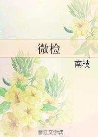 微检 微检