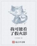 我可能看了假火影 我可能看了假火影