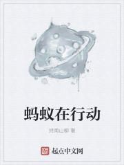 蚂蚁在行动 蚂蚁在行动