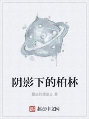 阴影下的柏林 阴影下的柏林
