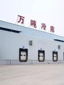 四合院之开局娶个售货员 四合院之开局娶个售货员