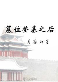 篡位登基之后 篡位登基之后