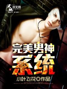 完美男神系统 完美男神系统