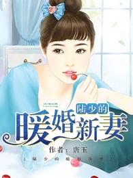 陆少的暖婚新妻 陆少的暖婚新妻