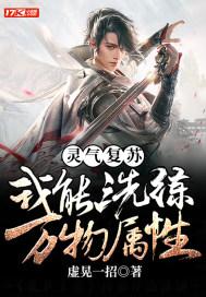 灵气复苏:我能洗练万物属性 灵气复苏:我能洗练万物属性