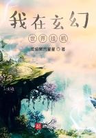 我在玄幻世界挂机 我在玄幻世界挂机