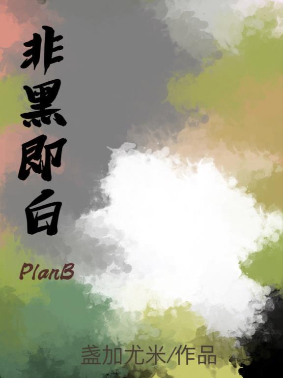 非黑即白PlanB 非黑即白PlanB