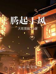 腾起于风 腾起于风