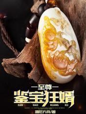 至尊鉴宝狂婿 至尊鉴宝狂婿